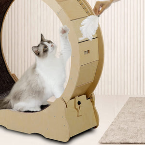 Cat Wheel, Cat Treadmill, Exercise Wheel, Cat Toy, Cats Loss Weight Device