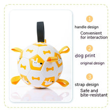 Cargar imagen en el visor de la galería, Dog Interactive Football Toys Children Soccer Dog Outdoor Training Balls Pet Sporty Bite Chew Teething Ball With Cute Printing