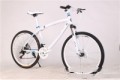 Load image into Gallery viewer, BMW Cross Country Mountain Bike Double Disc Brake