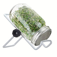 Charger l&#39;image dans la galerie, 2pcs, Mason Jar Stainless Steel Sprouting Stands + 2 Pcs Stainless Steel Sprouting Germination Jar Lids
