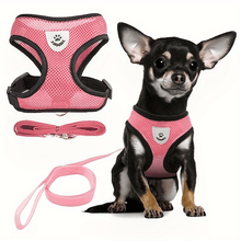 Charger l&#39;image dans la galerie, (Second Hands ) Leash Set For Dogs And Cats