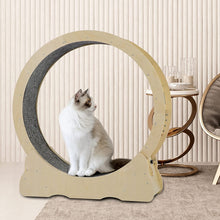 Load image into Gallery viewer, Cat Wheel, Cat Treadmill, Exercise Wheel, Cat Toy, Cats Loss Weight Device