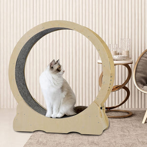 Cat Wheel, Cat Treadmill, Exercise Wheel, Cat Toy, Cats Loss Weight Device