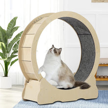 Laden Sie das Bild in den Galerie-Viewer, Cat Wheel, Cat Treadmill, Exercise Wheel, Cat Toy, Cats Loss Weight Device